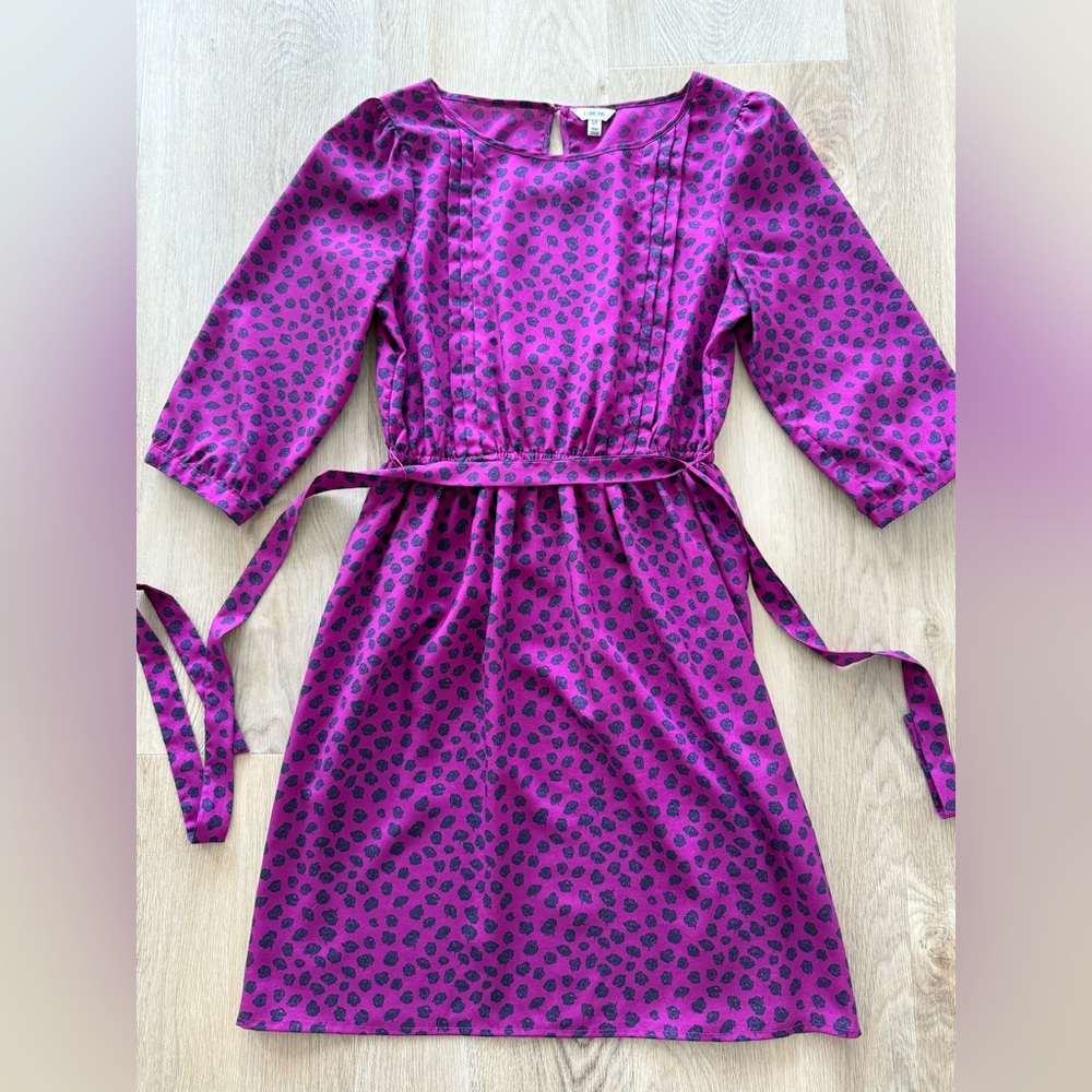 Purple & Navy Rose Print Dress